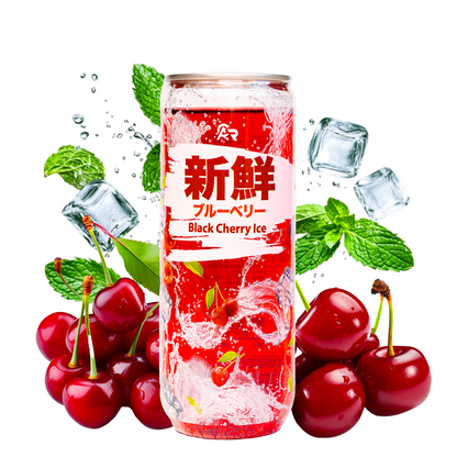 Asia - Black Cherry Ice Tray 12x330ml
