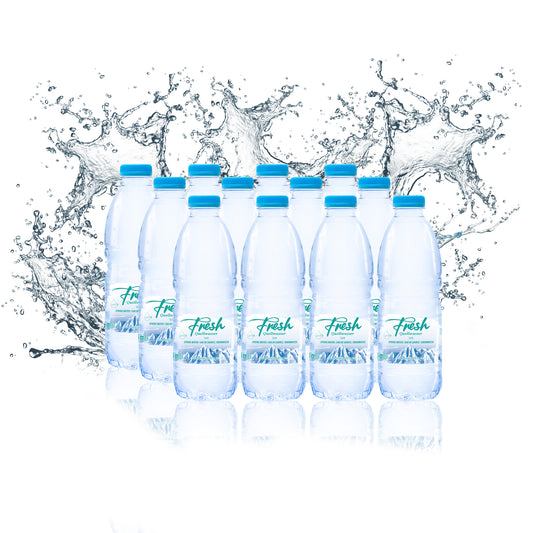 Fresh - Quellwasser 0,5L 24'er Packung